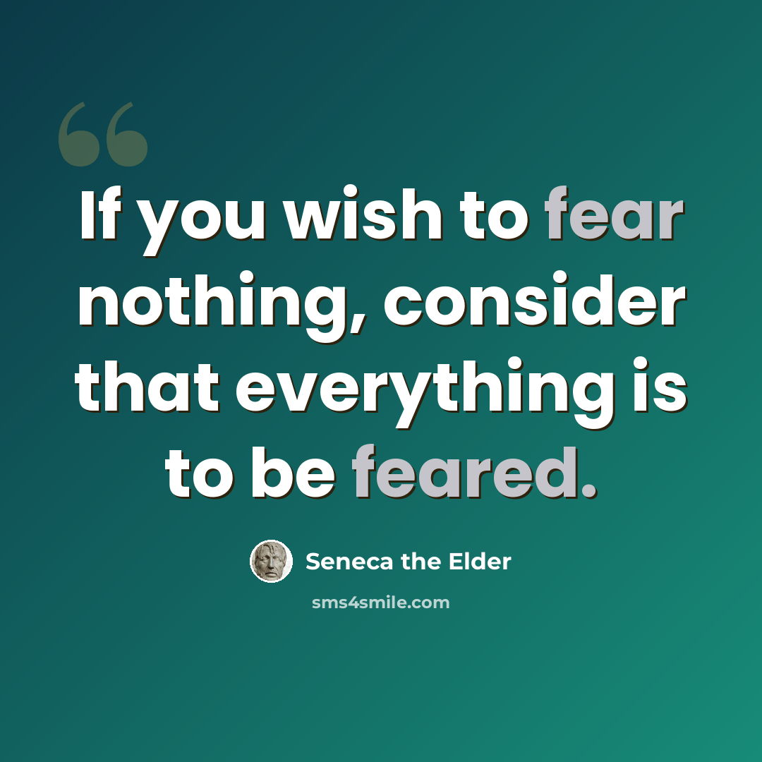“If you wish to fear nothing, consider that everything is to be feared.” quote by Seneca the Elder