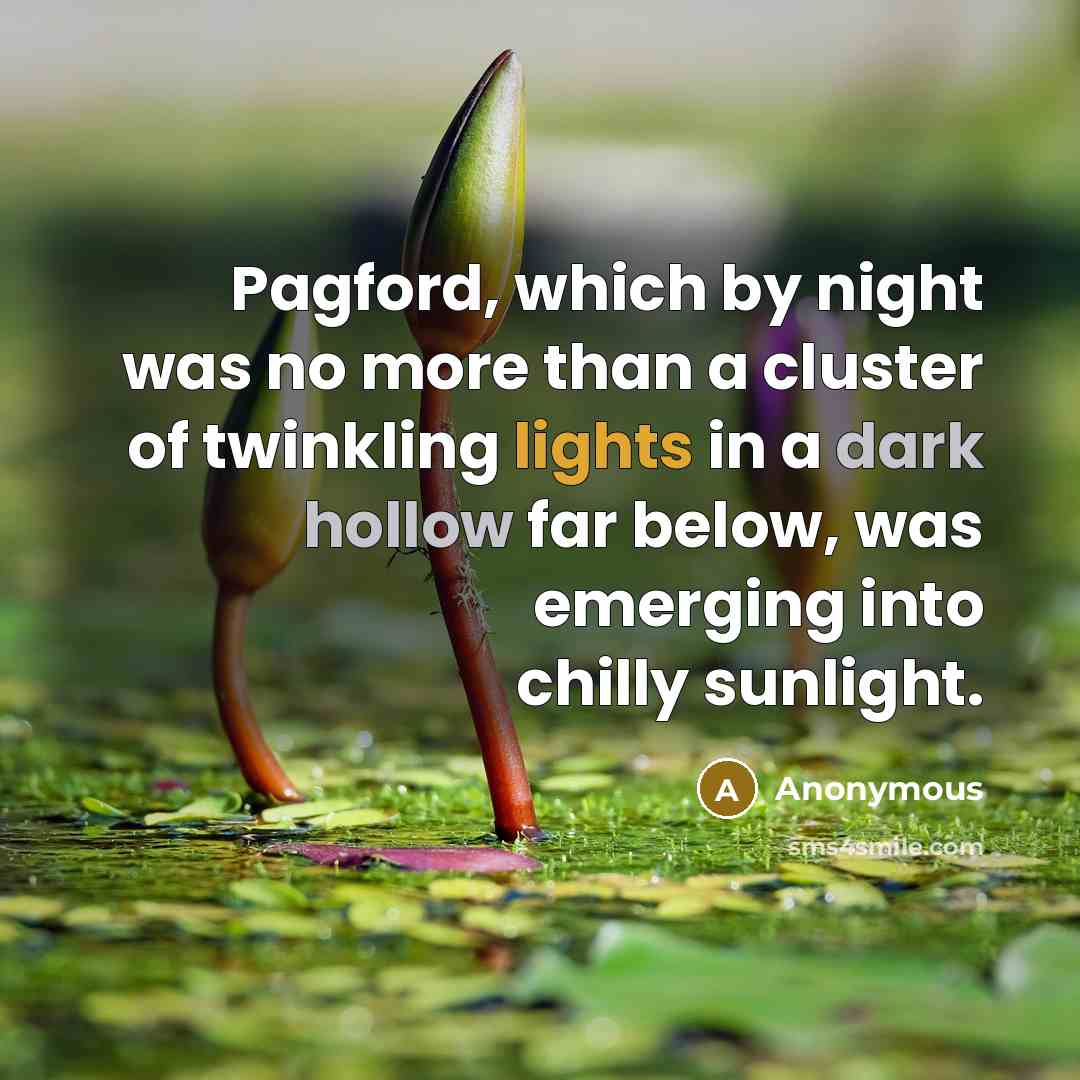 “Pagford, which by night was no more than a cluster of twinkling lights in a dark hollow far below, was emerging into chilly sunlight.” quote by Anonymous