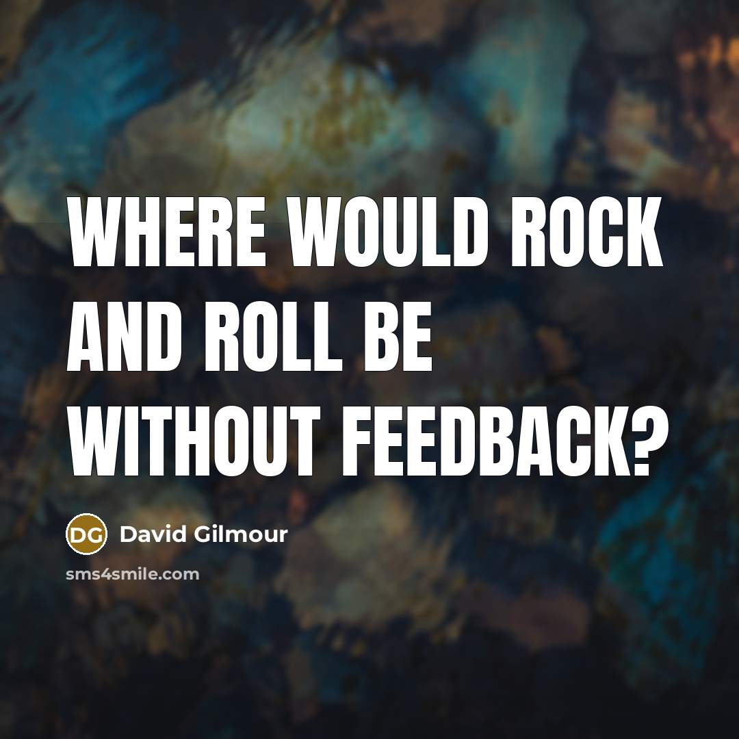 “Where would rock and roll be without feedback?” quote by David Gilmour