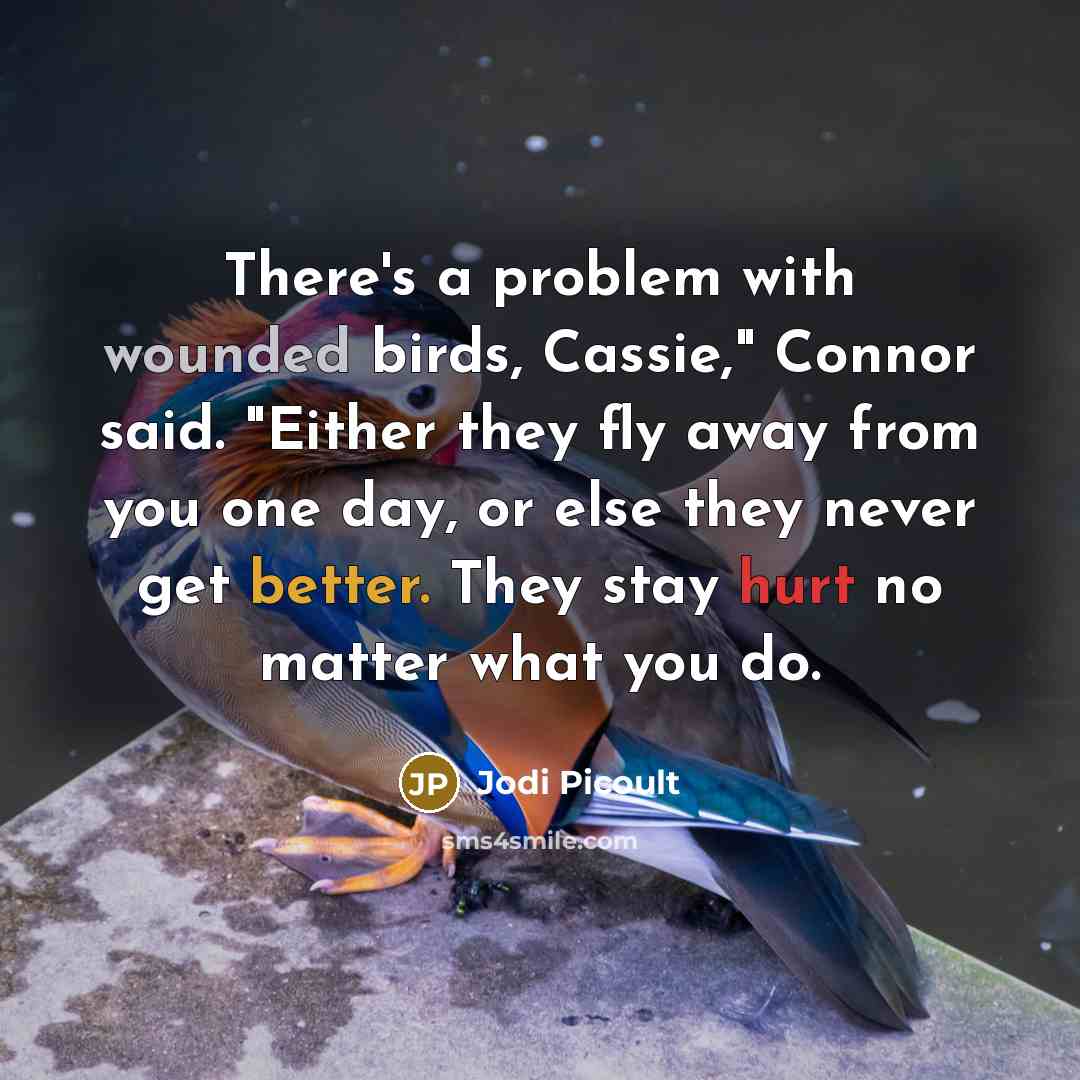 “There's a problem with wounded birds, Cassie," Connor said. "Either they fly away from you one day, or else they never get better. They stay hurt no matter what you do.” quote by Jodi Picoult