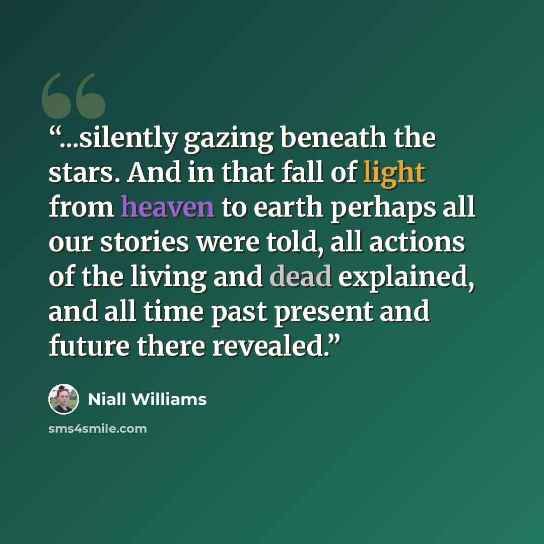 “...silently gazing beneath the stars. And in that fall of light from heaven to earth perhaps all our stories were told, all actions of the living and dead explained, and all time past present and future there revealed.” quote by Niall Williams