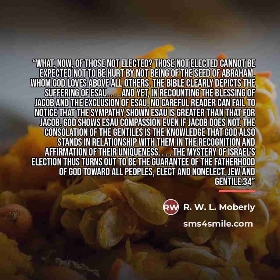 “What, now, of those not elected? Those not elected cannot be expected not to be hurt by not being of the seed of Abraham, whom God loves above all others. The Bible clearly depicts the suffering of Esau. . . . And yet, in recounting the blessing of Jacob and the exclusion of Esau, no careful…” quote by R. W. L. Moberly
