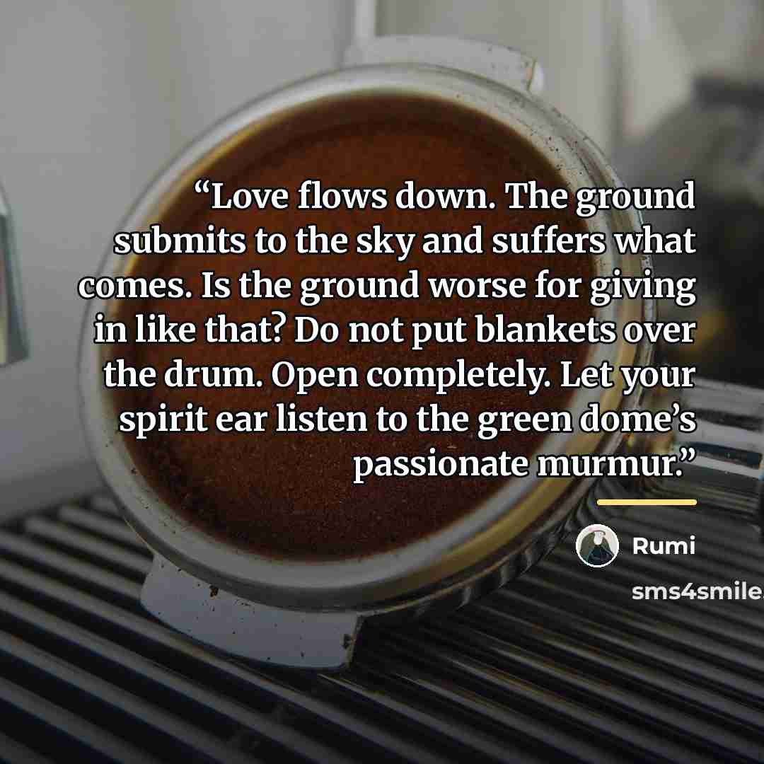 “Love flows down. The ground submits to the sky and suffers what comes. Is the ground worse for giving in like that? Do not put blankets over the drum. Open completely. Let your spirit ear listen to the green dome’s passionate murmur.” quote by Rumi