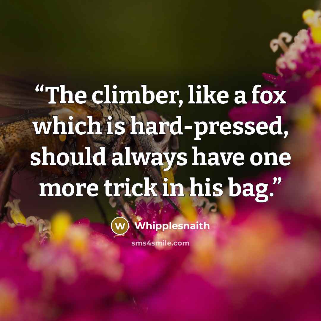“The climber, like a fox which is hard-pressed, should always have one more trick in his bag.” quote by Whipplesnaith
