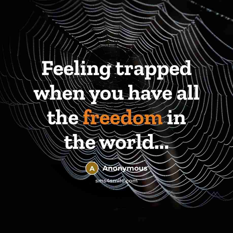 “Feeling trapped when you have all the freedom in the world...” quote by Anonymous