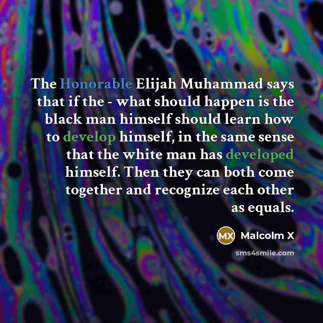 “The Honorable Elijah Muhammad says that if the - what should happen is the black man himself should learn how to develop himself, in the same sense that the white man has developed himself. Then they can both come together and recognize each other as equals.” quote by Malcolm X