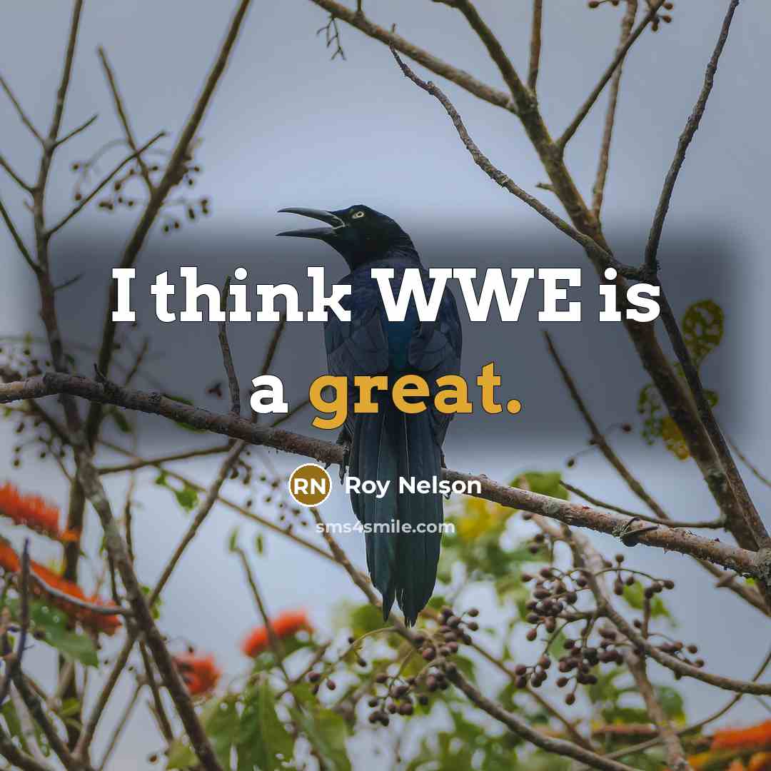 “I think WWE is a great.” quote by Roy Nelson