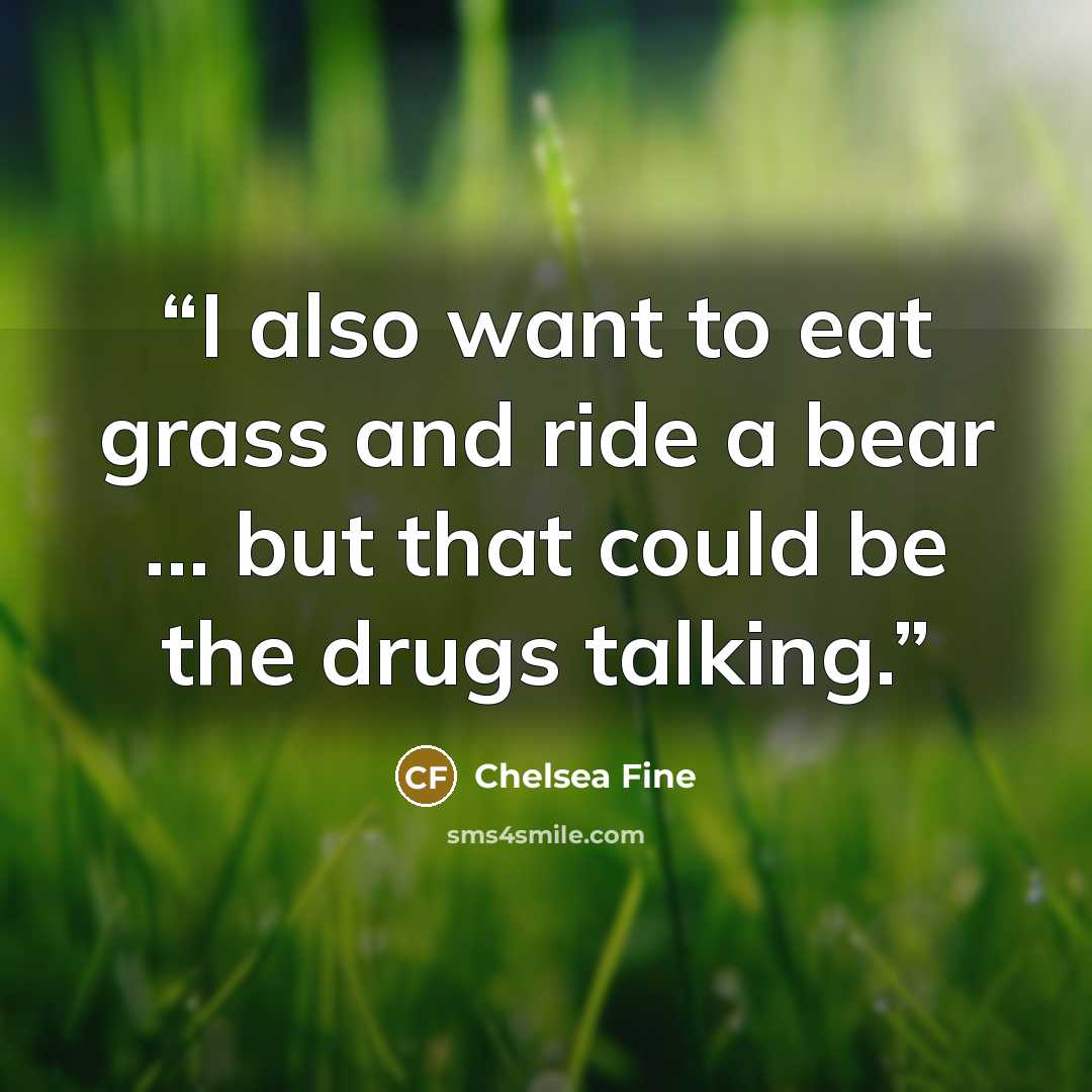 “I also want to eat grass and ride a bear … but that could be the drugs talking.” quote by Chelsea Fine