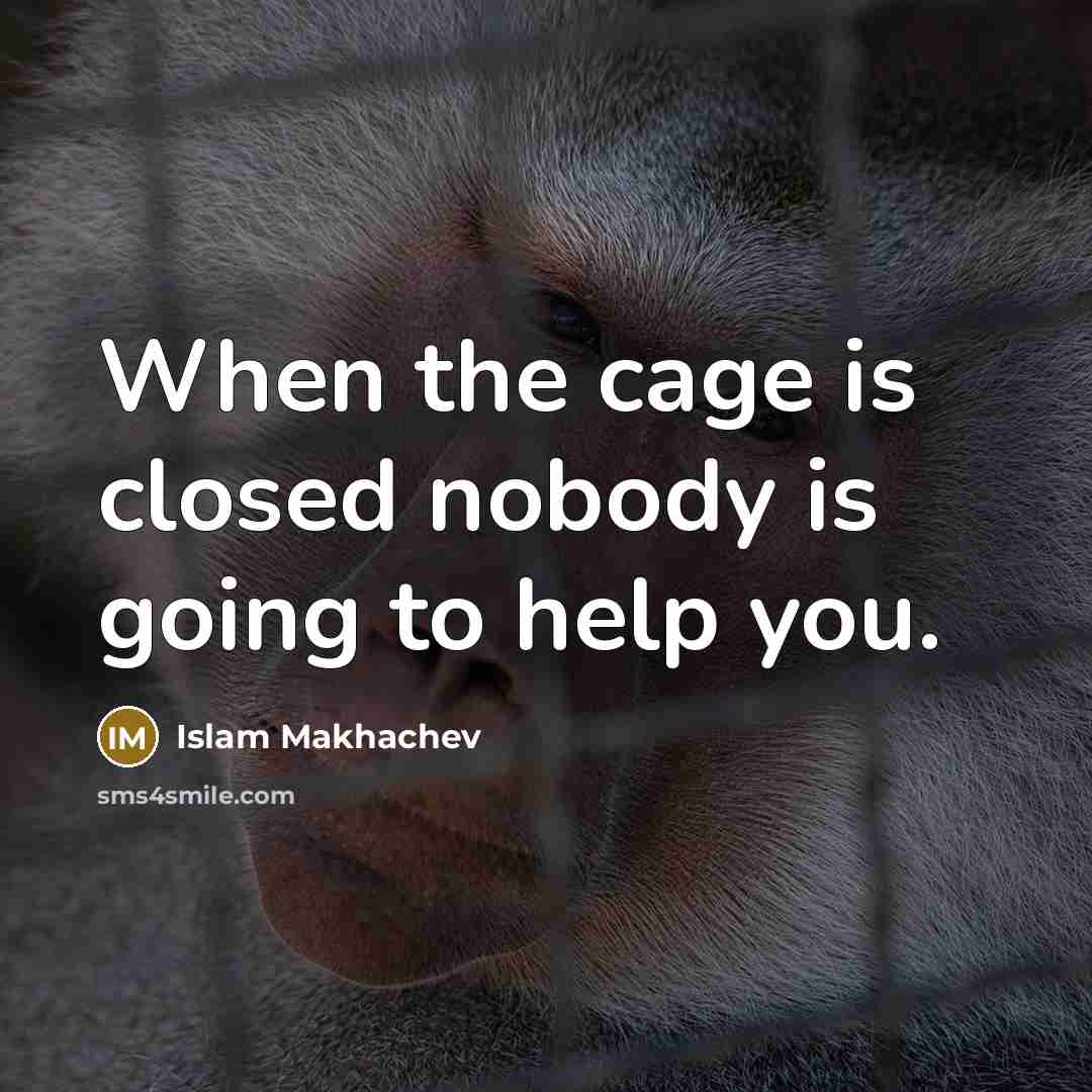 “When the cage is closed nobody is going to help you.” quote by Islam Makhachev