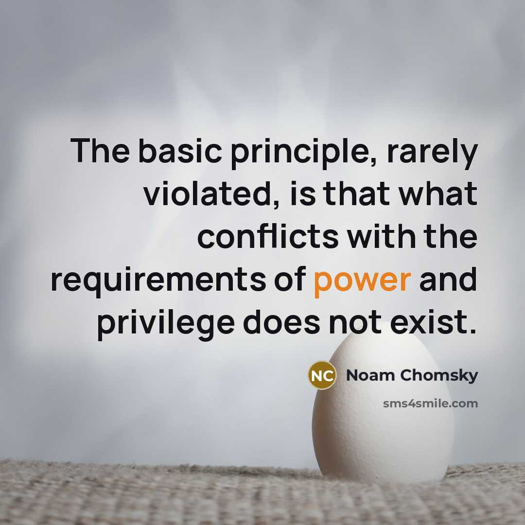 “The basic principle, rarely violated, is that what conflicts with the requirements of power and privilege does not exist.” quote by Noam Chomsky