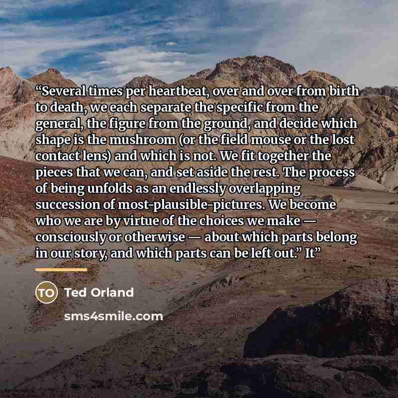 “Several times per heartbeat, over and over from birth to death, we each separate the specific from the general, the figure from the ground, and decide which shape is the mushroom (or the field mouse or the lost contact lens) and which is not. We fit together the pieces that we can, and set aside…” quote by Ted Orland
