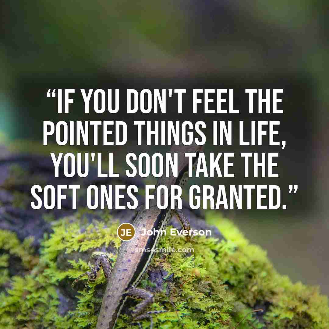 “If you don't feel the pointed things in life, you'll soon take the soft ones for granted.” quote by John Everson