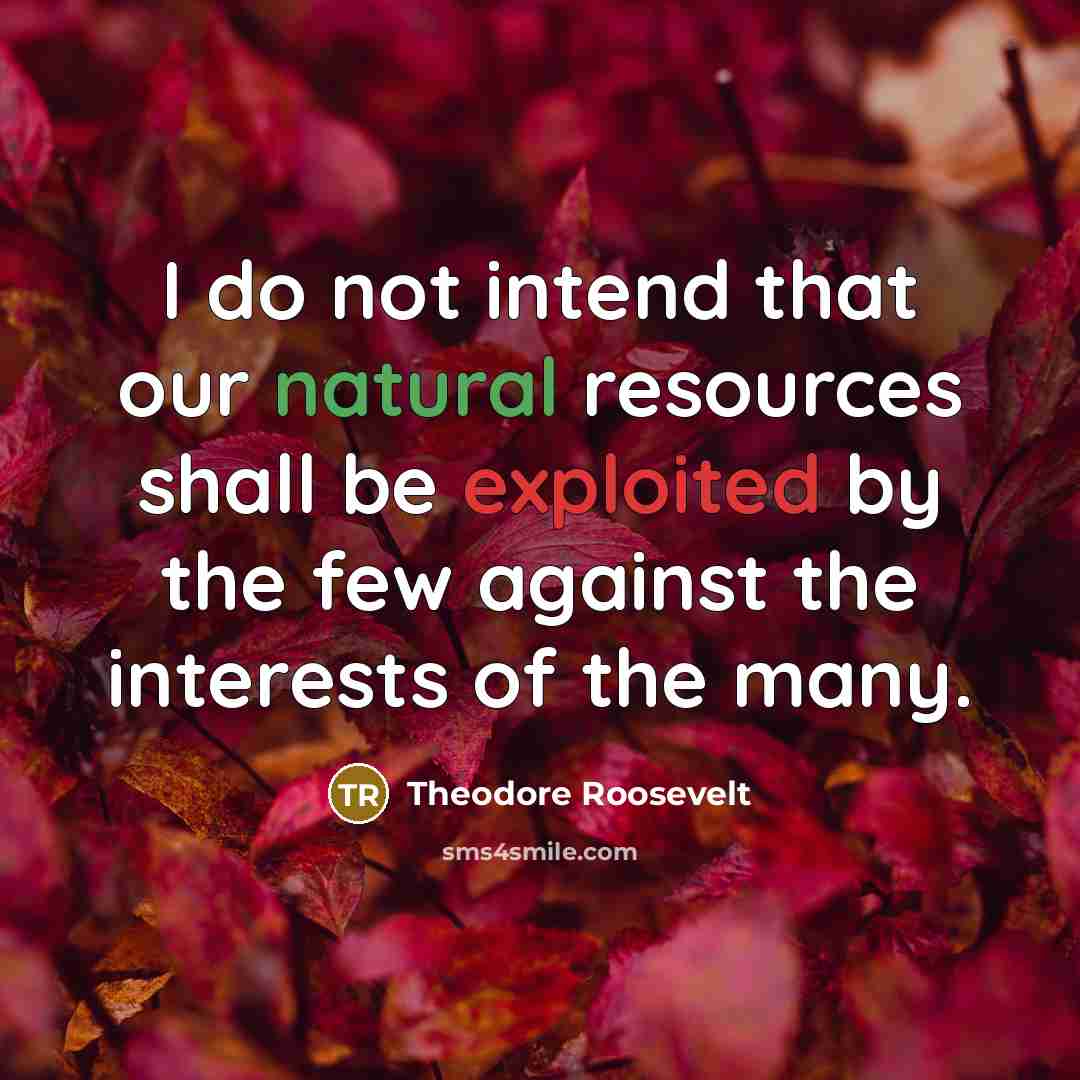 “I do not intend that our natural resources shall be exploited by the few against the interests of the many.” quote by Theodore Roosevelt