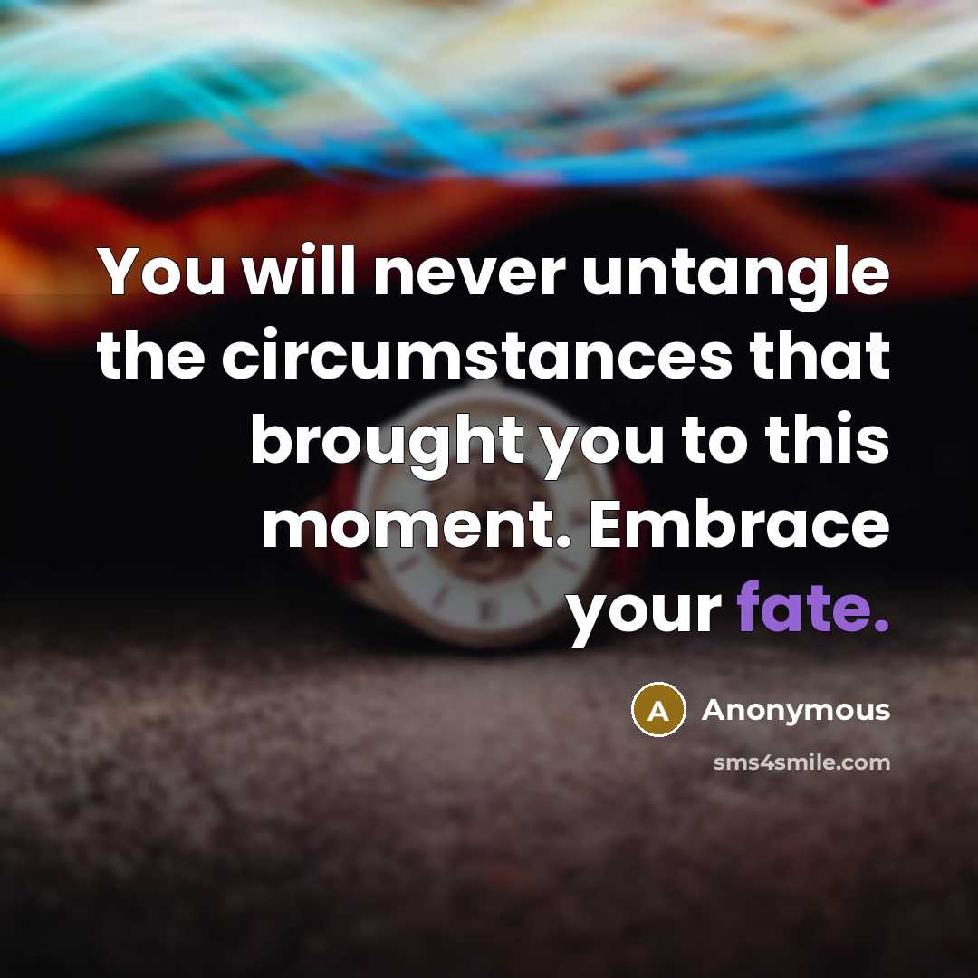 “You will never untangle the circumstances that brought you to this moment. Embrace your fate.” quote by Anonymous