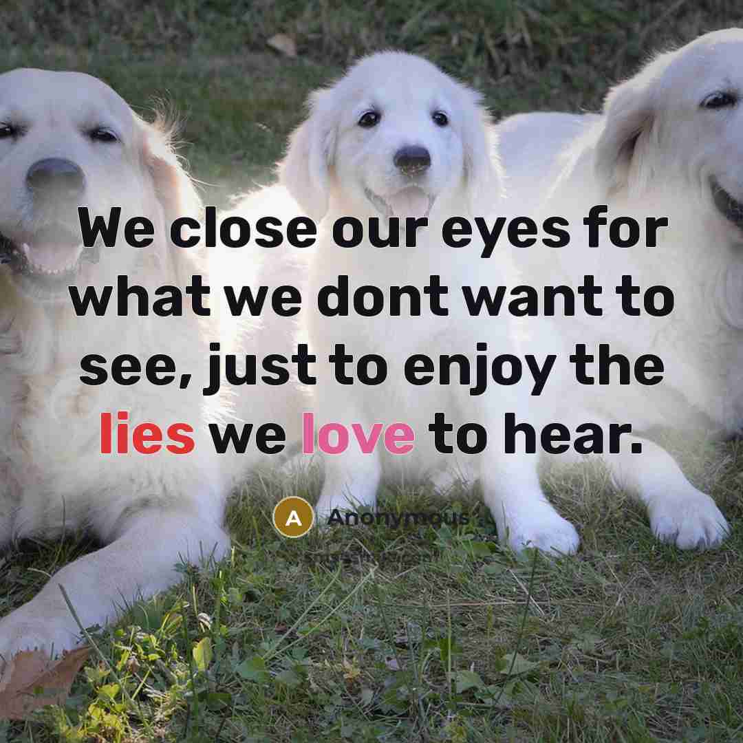 “We close our eyes for what we dont want to see, just to enjoy the lies we love to hear.” quote by Anonymous