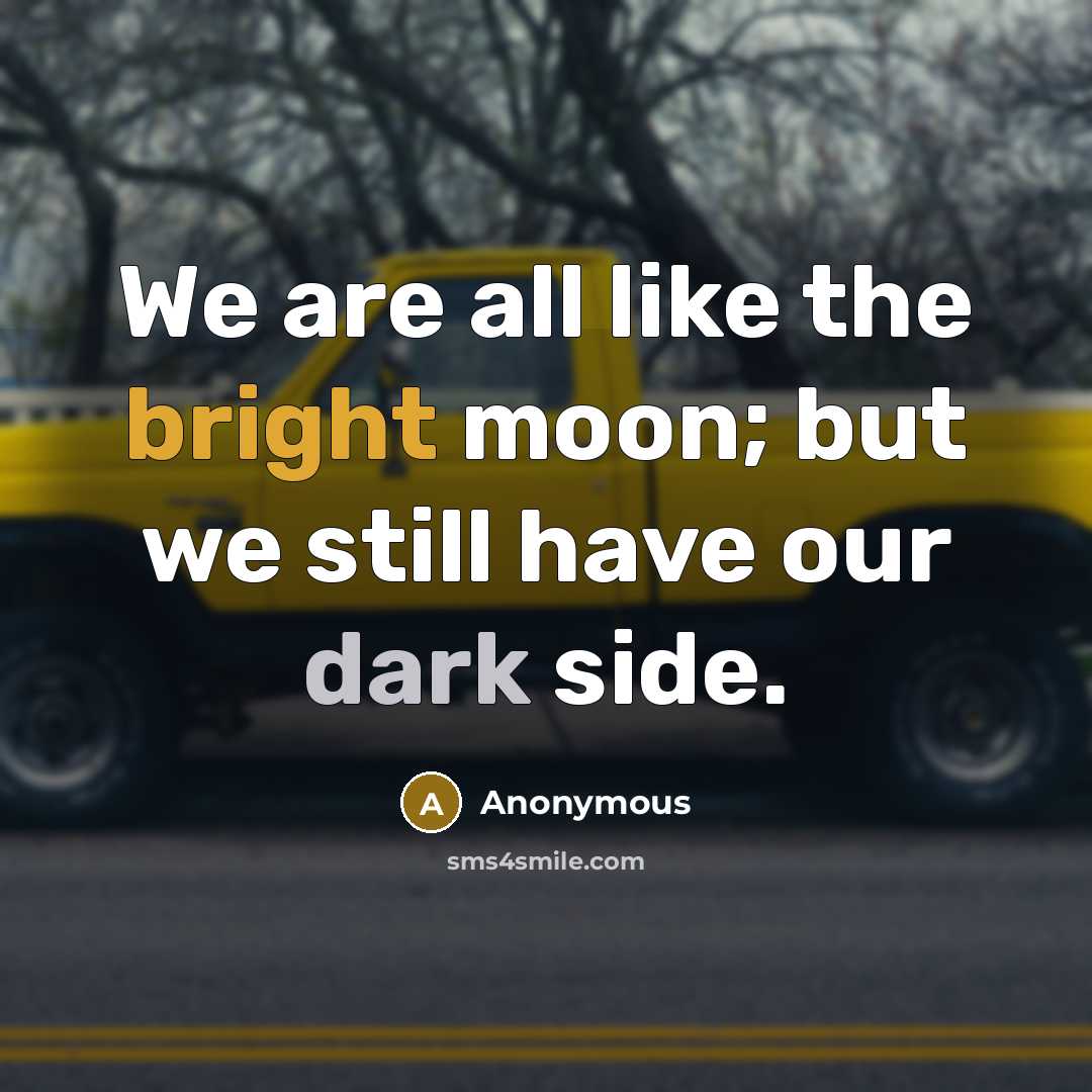 “We are all like the bright moon; but we still have our dark side.” quote by Anonymous