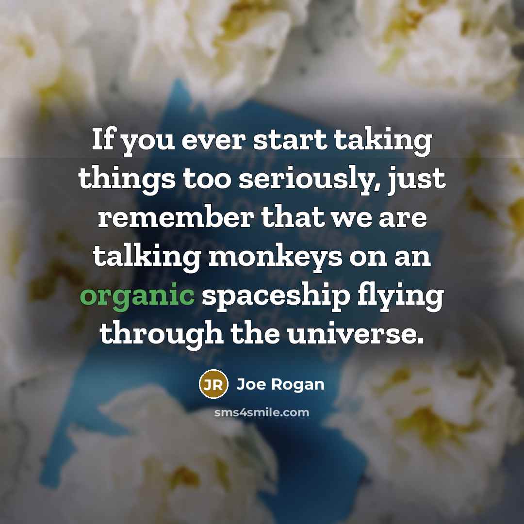 “If you ever start taking things too seriously, just remember that we are talking monkeys on an organic spaceship flying through the universe.” quote by Joe Rogan