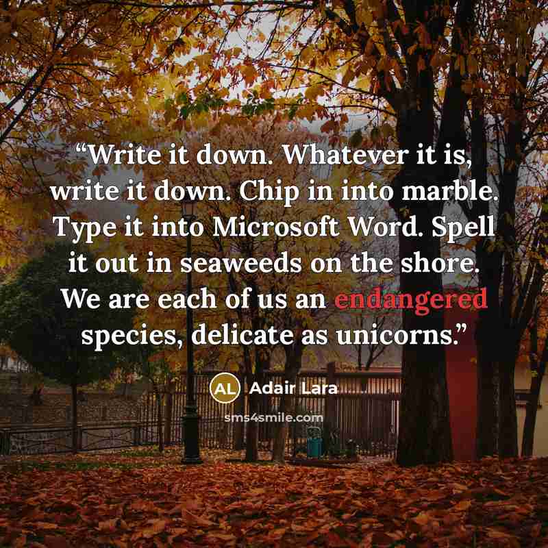 “Write it down. Whatever it is, write it down. Chip in into marble. Type it into Microsoft Word. Spell it out in seaweeds on the shore. We are each of us an endangered species, delicate as unicorns.” quote by Adair Lara