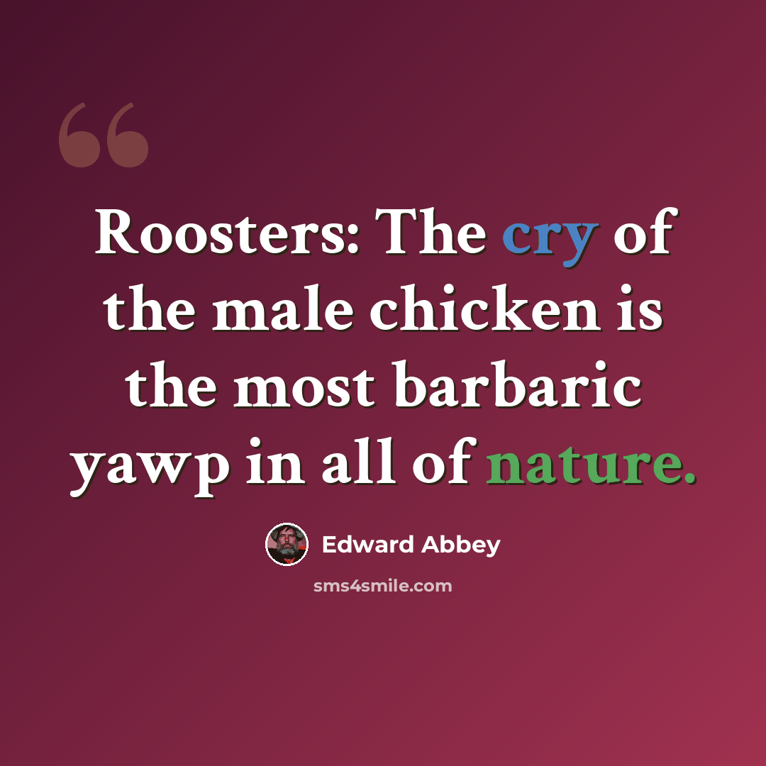 “Roosters: The cry of the male chicken is the most barbaric yawp in all of nature.” quote by Edward Abbey