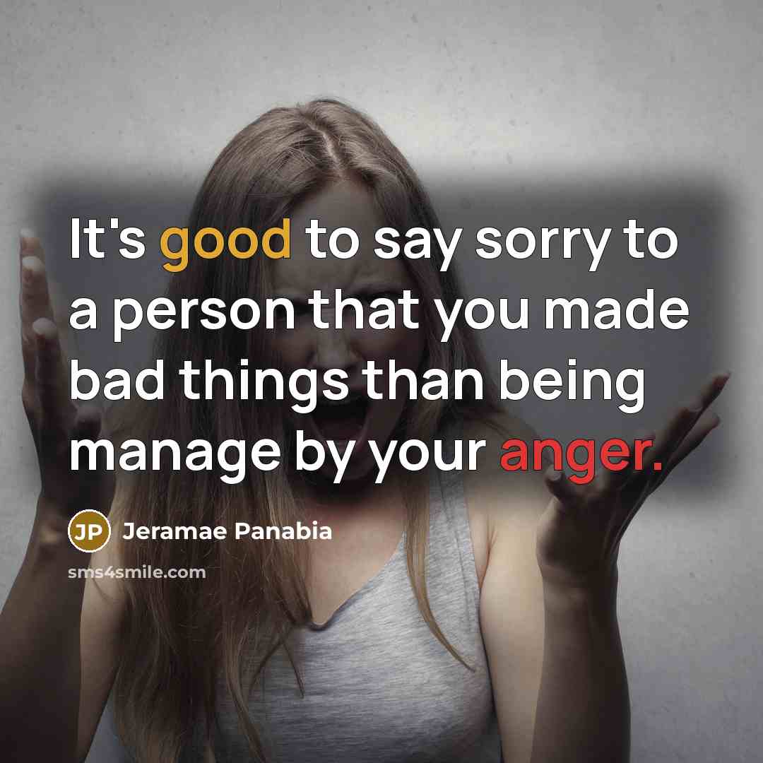 “It's good to say sorry to a person that you made bad things than being manage by your anger.” quote by Jeramae Panabia