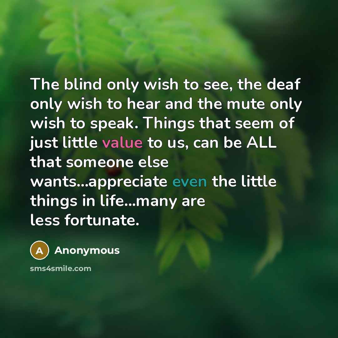 “The blind only wish to see, the deaf only wish to hear and the mute only wish to speak. Things that seem of just little value to us, can be ALL that someone else wants...appreciate even the little things in life...many are less fortunate.” quote by Anonymous