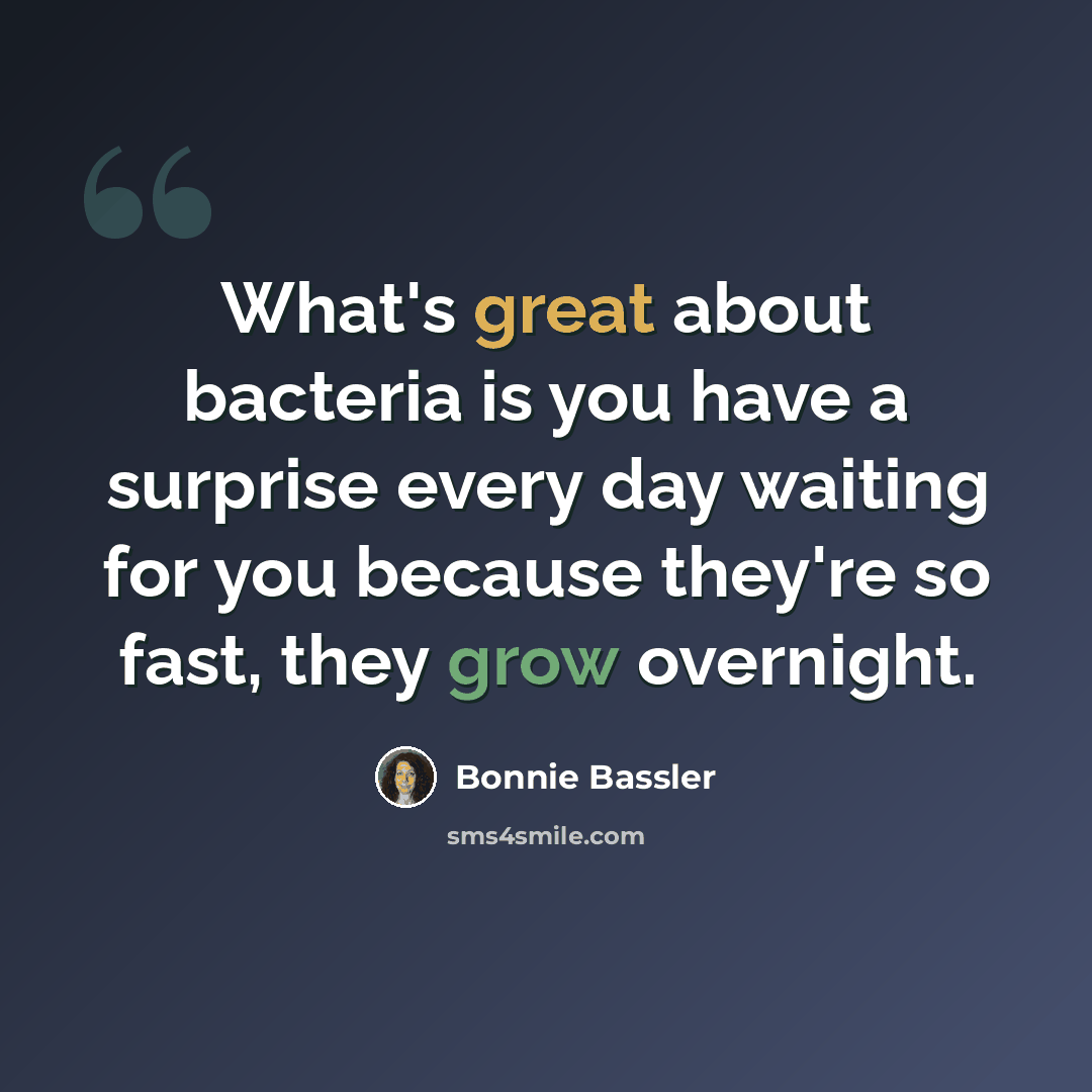 “What's great about bacteria is you have a surprise every day waiting for you because they're so fast, they grow overnight.” quote by Bonnie Bassler