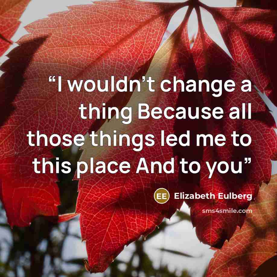 “I wouldn’t change a thing Because all those things led me to this place And to you” quote by Elizabeth Eulberg