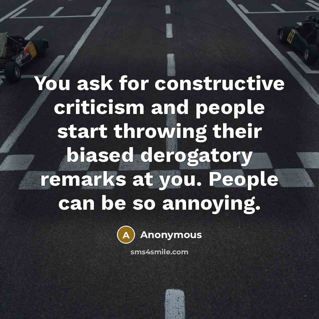 “You ask for constructive criticism and people start throwing their biased derogatory remarks at you. People can be so annoying.” quote by Anonymous