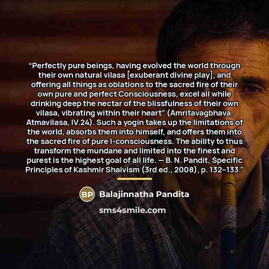 “Perfectly pure beings, having evolved the world through their own natural vilasa [exuberant divine play], and offering all things as oblations to the sacred fire of their own pure and perfect Consciousness, excel all while drinking deep the nectar of the blissfulness of their own vilasa, vibrating…” quote by Balajinnatha Pandita