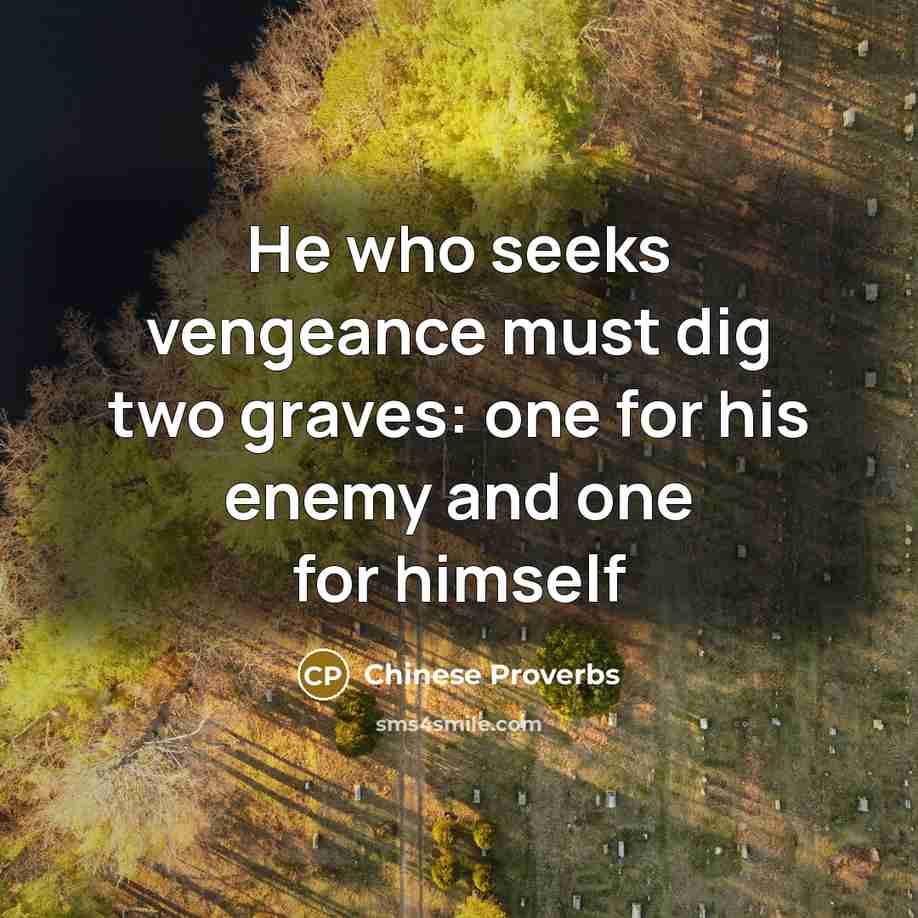 “He who seeks vengeance must dig two graves: one for his enemy and one for himself” quote by Chinese Proverbs