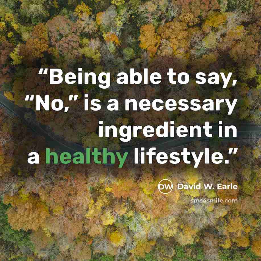 “Being able to say, “No,” is a necessary ingredient in a healthy lifestyle.” quote by David W. Earle