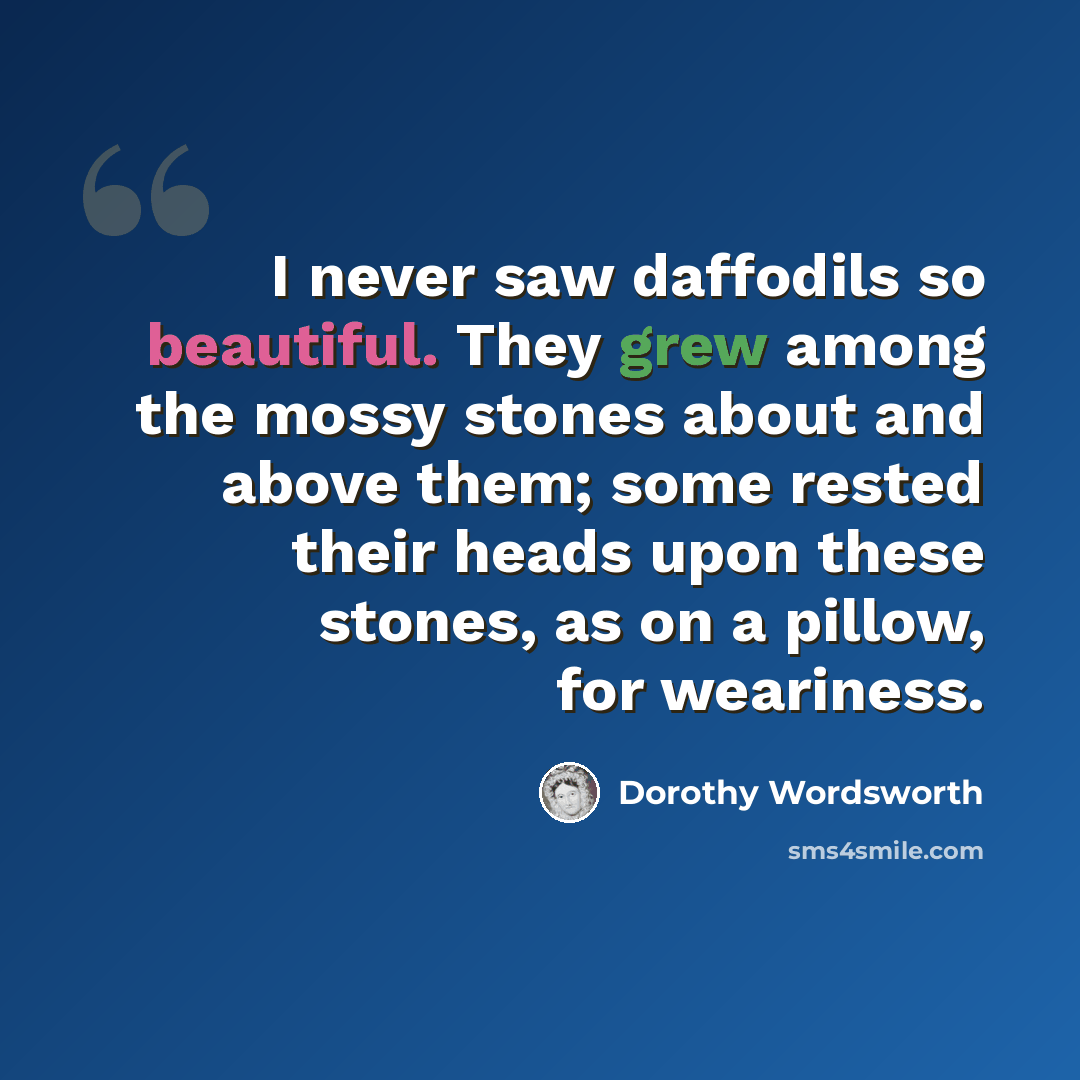 “I never saw daffodils so beautiful. They grew among the mossy stones about and above them; some rested their heads upon these stones, as on a pillow, for weariness.” quote by Dorothy Wordsworth