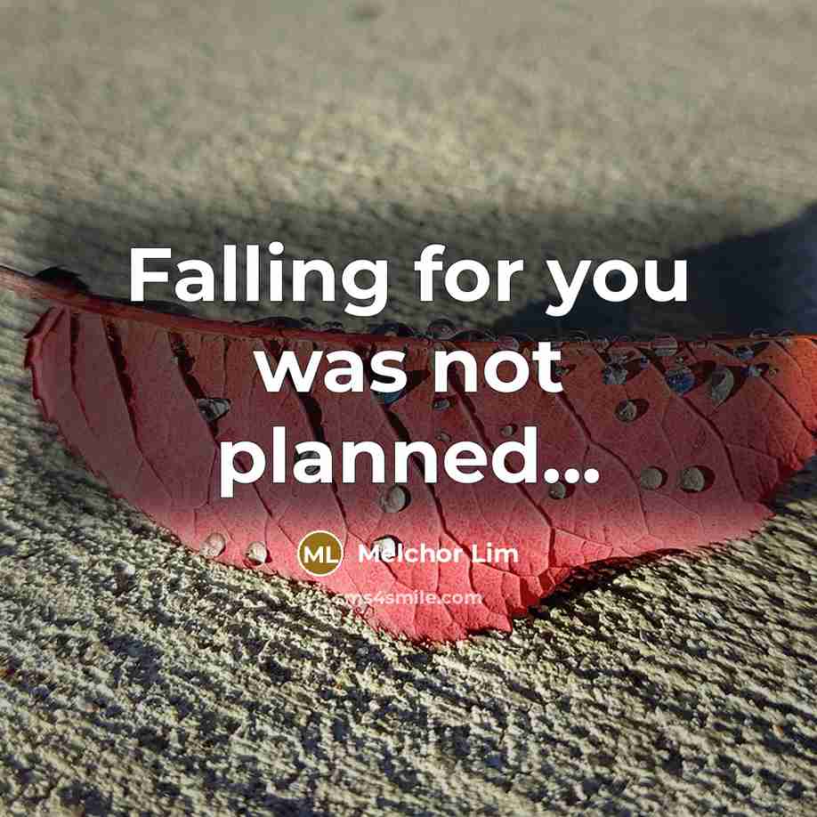 “Falling for you was not planned...” quote by Melchor Lim