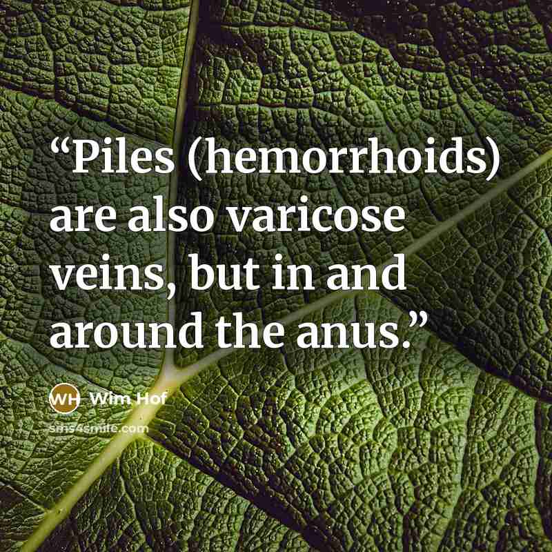 “Piles (hemorrhoids) are also varicose veins, but in and around the anus.” quote by Wim Hof