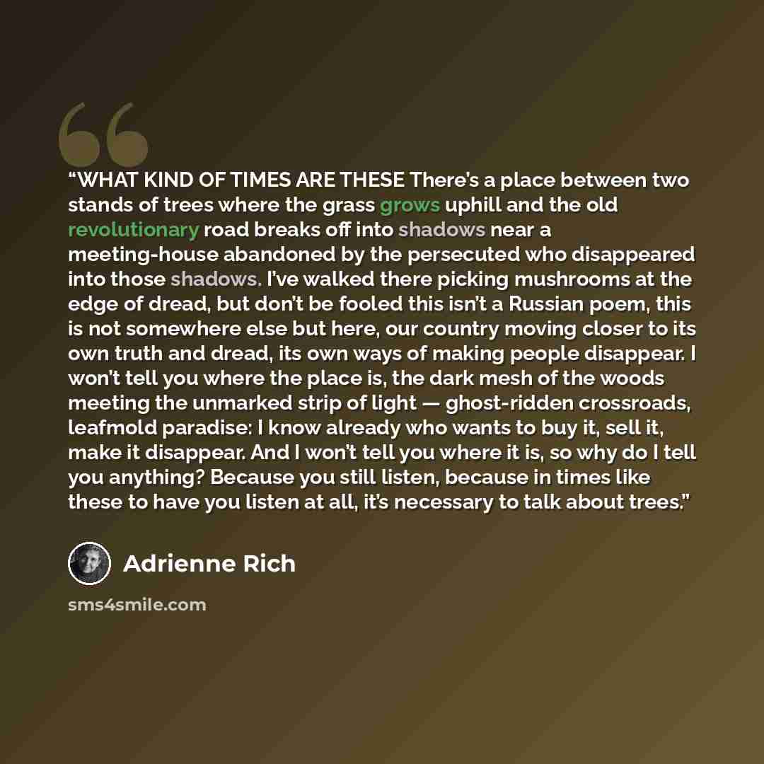 “WHAT KIND OF TIMES ARE THESE There’s a place between two stands of trees where the grass grows uphill and the old revolutionary road breaks off into shadows near a meeting-house abandoned by the persecuted who disappeared into those shadows. I’ve walked there picking mushrooms at the edge of…” quote by Adrienne Rich