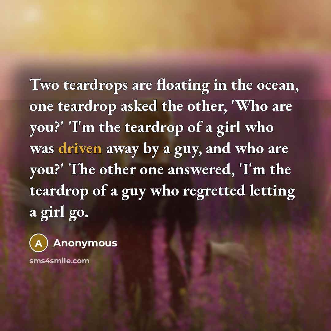 “Two teardrops are floating in the ocean, one teardrop asked the other, 'Who are you?' 'I'm the teardrop of a girl who was driven away by a guy, and who are you?' The other one answered, 'I'm the teardrop of a guy who regretted letting a girl go.” quote by Anonymous