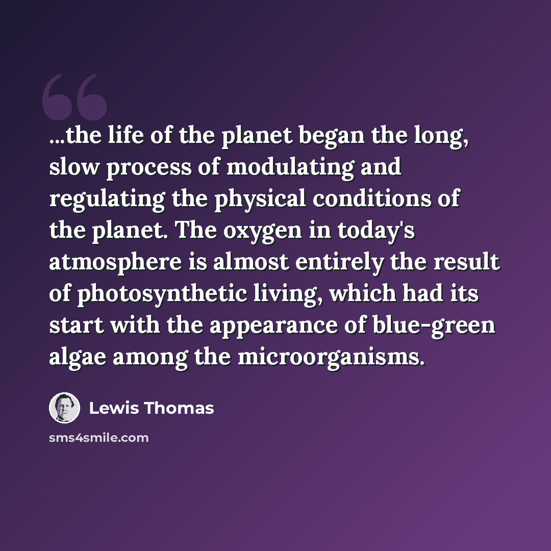 “...the life of the planet began the long, slow process of modulating and regulating the physical conditions of the planet. The oxygen in today's atmosphere is almost entirely the result of photosynthetic living, which had its start with the appearance of blue-green algae among the microorganisms.” quote by Lewis Thomas