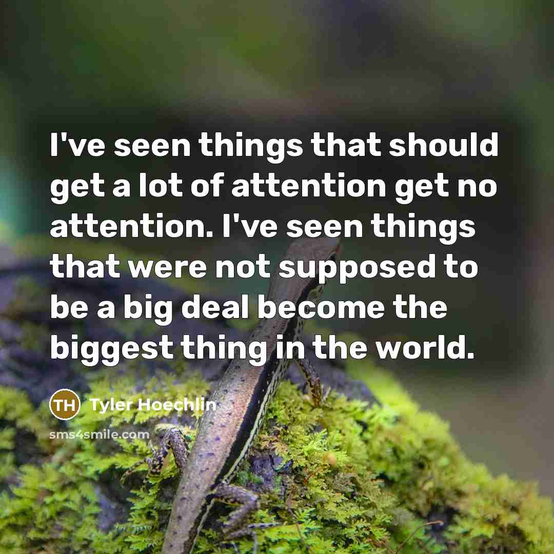 “I've seen things that should get a lot of attention get no attention. I've seen things that were not supposed to be a big deal become the biggest thing in the world.” quote by Tyler Hoechlin