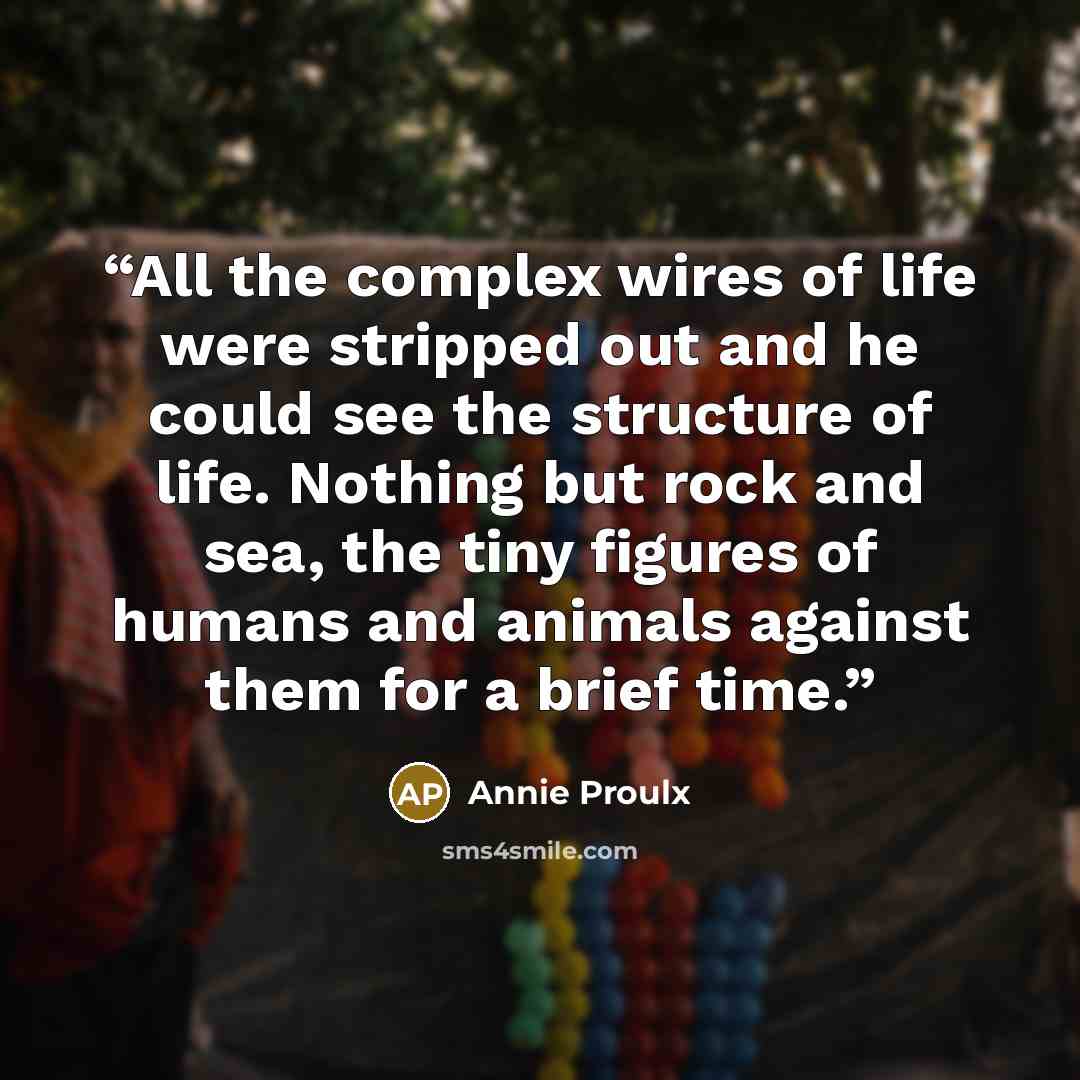 “All the complex wires of life were stripped out and he could see the structure of life. Nothing but rock and sea, the tiny figures of humans and animals against them for a brief time.” quote by Annie Proulx