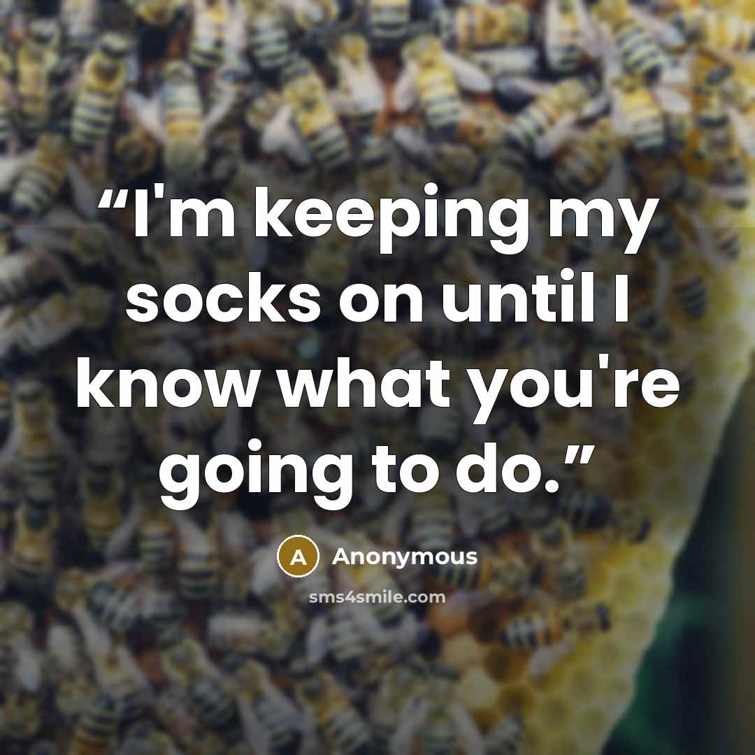 “I'm keeping my socks on until I know what you're going to do.” quote by Anonymous