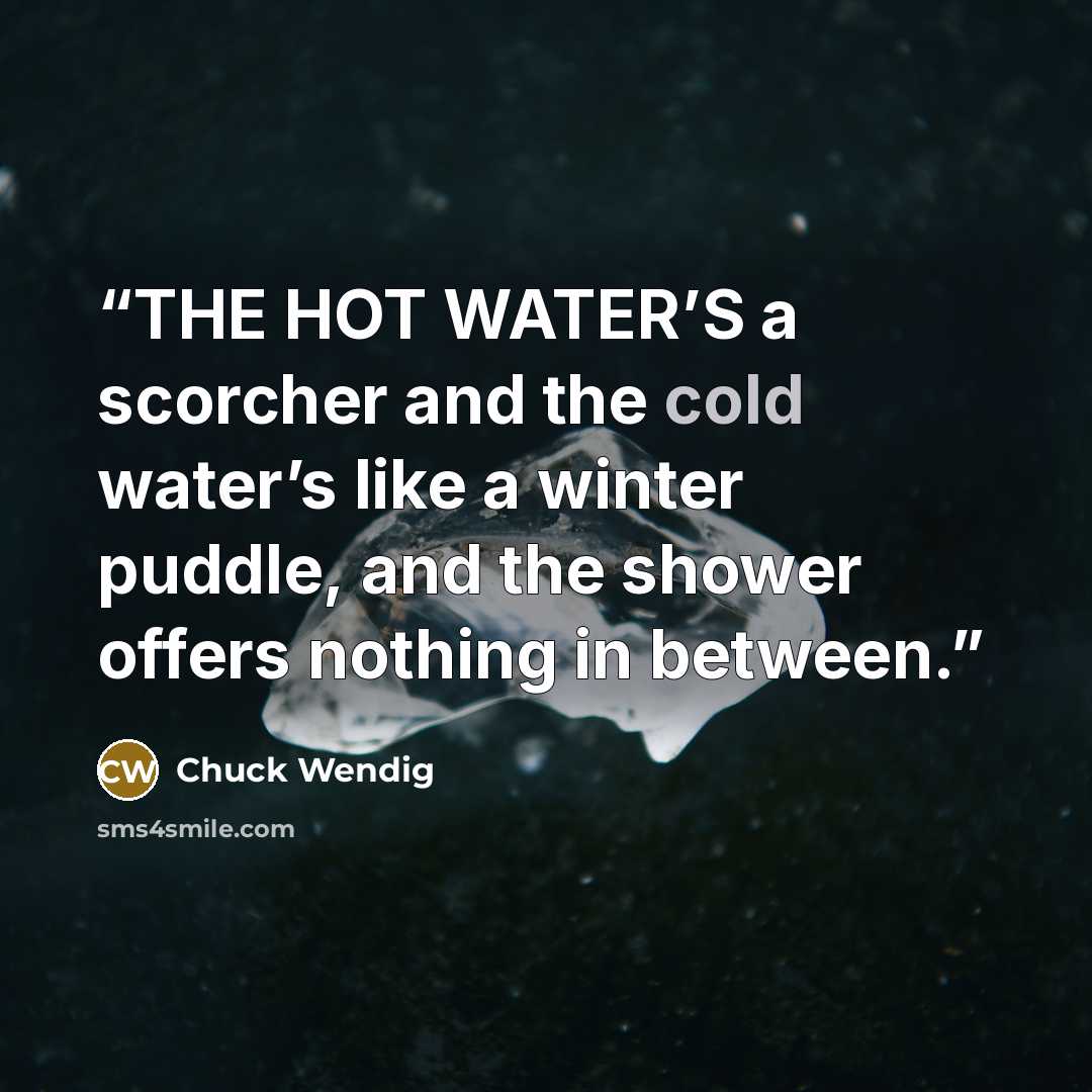 “THE HOT WATER’S a scorcher and the cold water’s like a winter puddle, and the shower offers nothing in between.” quote by Chuck Wendig