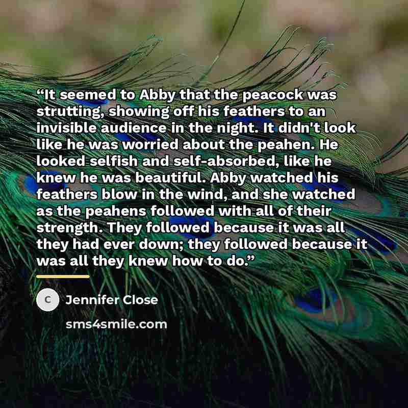 “It seemed to Abby that the peacock was strutting, showing off his feathers to an invisible audience in the night. It didn't look like he was worried about the peahen. He looked selfish and self-absorbed, like he knew he was beautiful. Abby watched his feathers blow in the wind, and she watched as…” quote by Jennifer Close