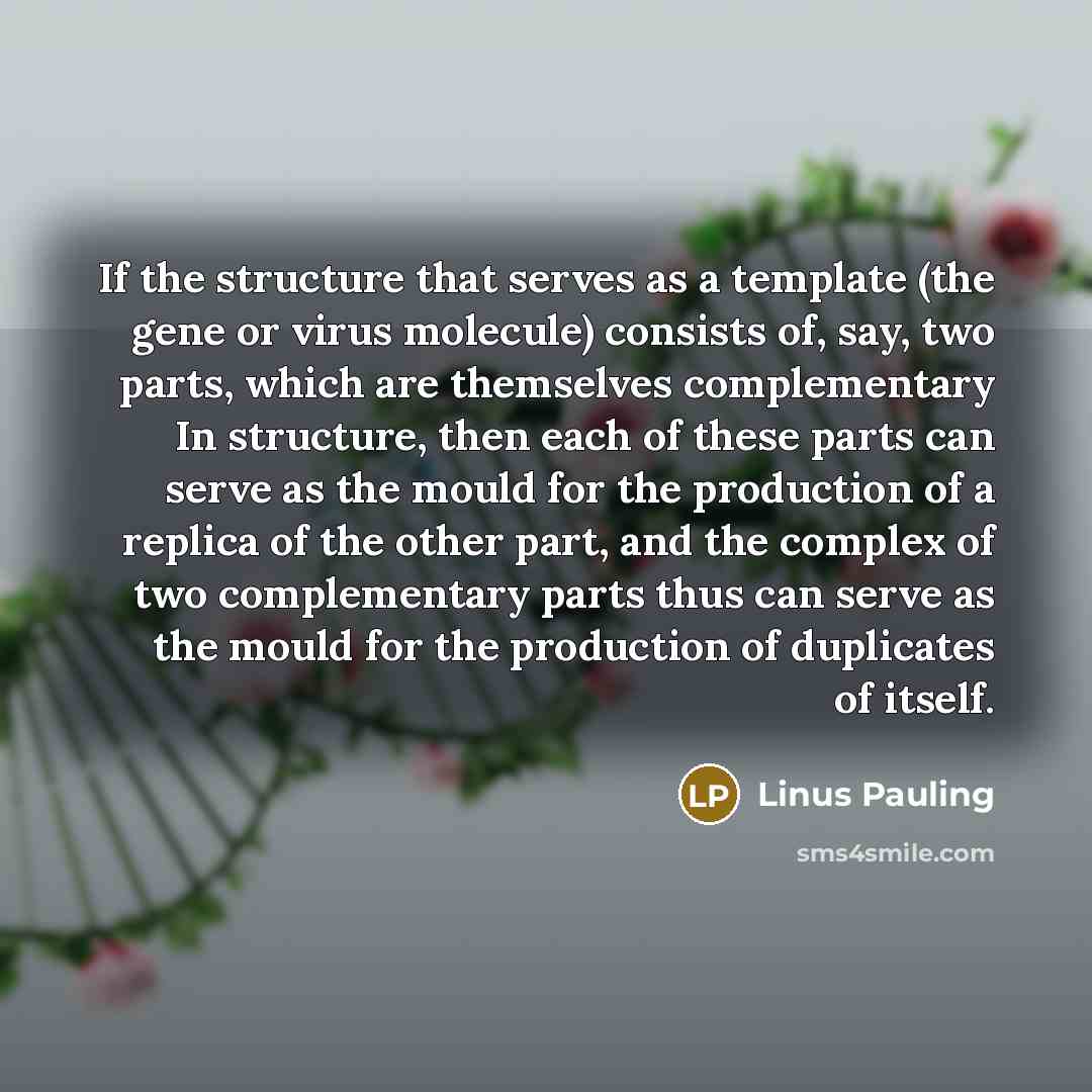“If the structure that serves as a template (the gene or virus molecule) consists of, say, two parts, which are themselves complementary In structure, then each of these parts can serve as the mould for the production of a replica of the other part, and the complex of two complementary parts thus…” quote by Linus Pauling