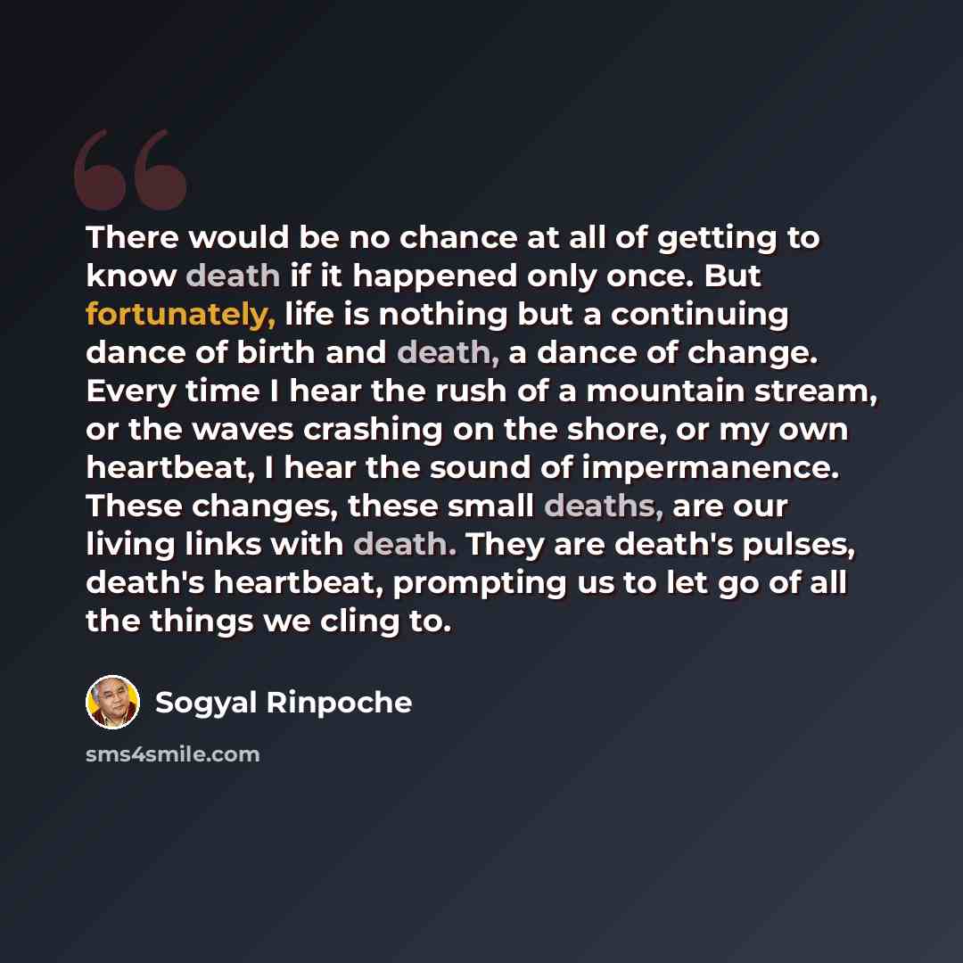 “There would be no chance at all of getting to know death if it happened only once. But fortunately, life is nothing but a continuing dance of birth and death, a dance of change. Every time I hear the rush of a mountain stream, or the waves crashing on the shore, or my own heartbeat, I hear the…” quote by Sogyal Rinpoche