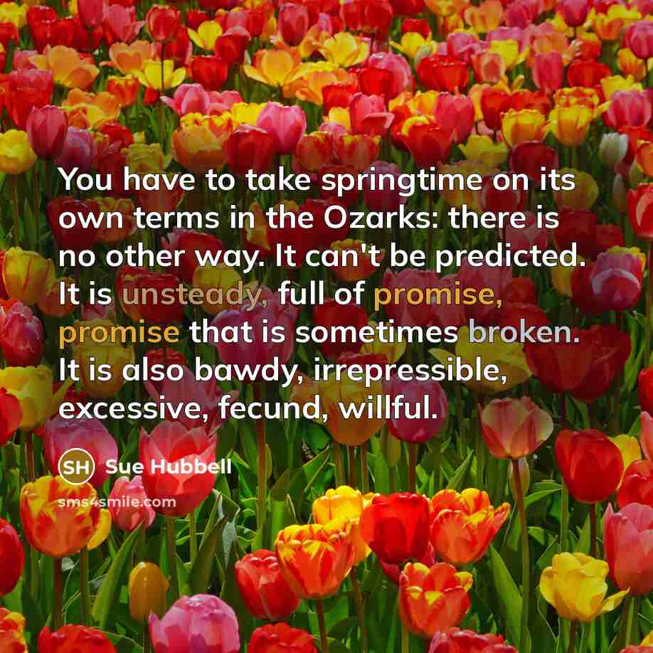 “You have to take springtime on its own terms in the Ozarks: there is no other way. It can't be predicted. It is unsteady, full of promise, promise that is sometimes broken. It is also bawdy, irrepressible, excessive, fecund, willful.” quote by Sue Hubbell