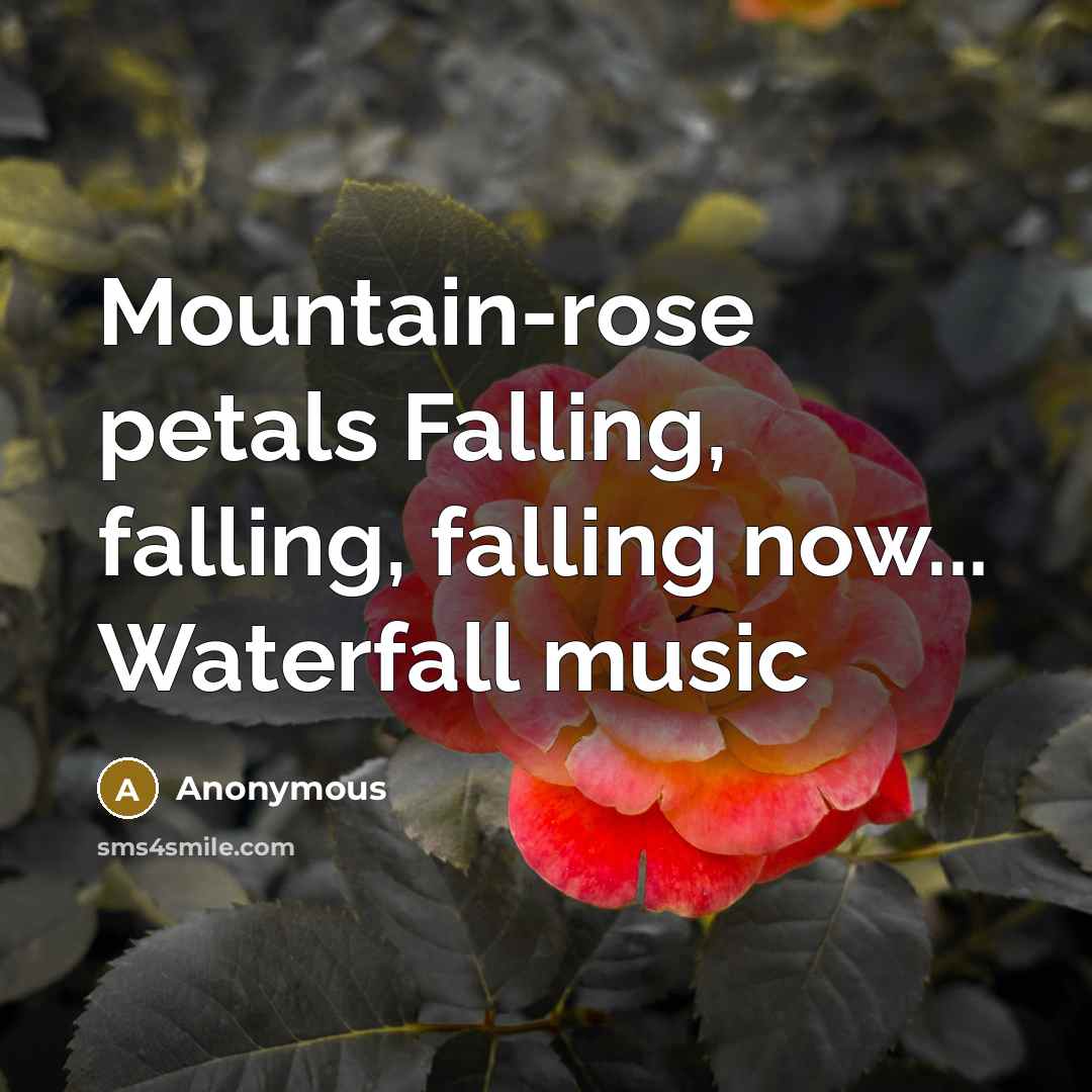 “Mountain-rose petals Falling, falling, falling now... Waterfall music” quote by Anonymous