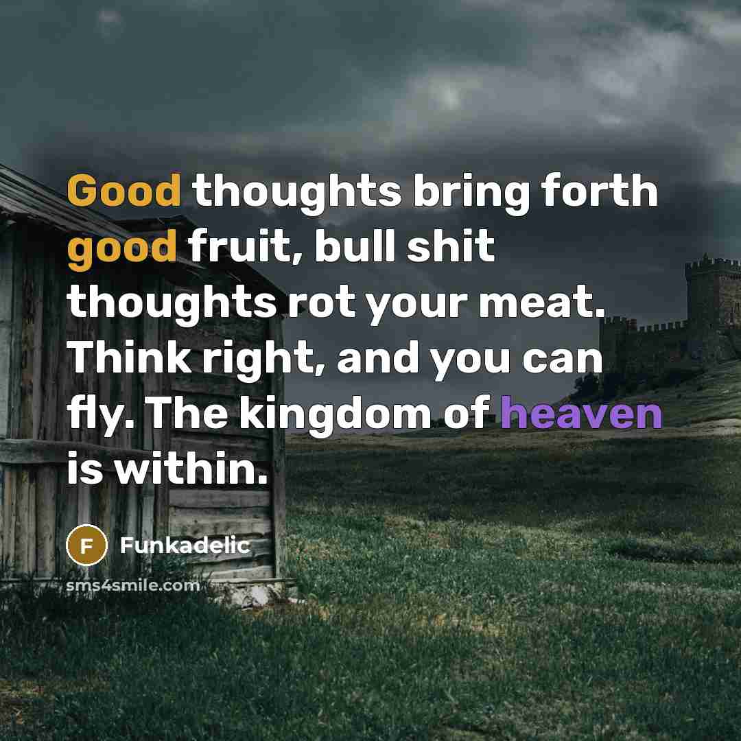 “Good thoughts bring forth good fruit, bull shit thoughts rot your meat. Think right, and you can fly. The kingdom of heaven is within.” quote by Funkadelic