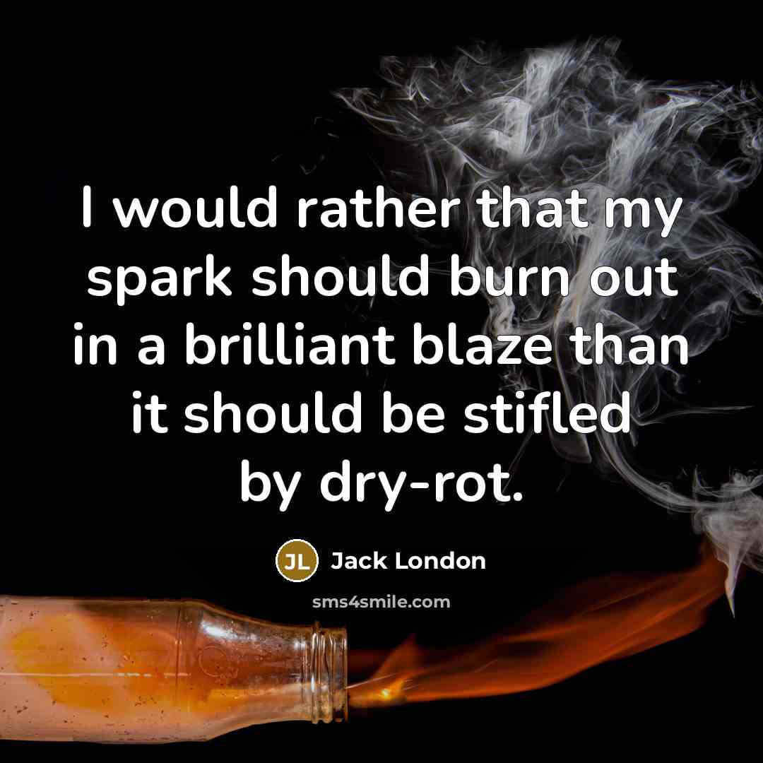 “I would rather that my spark should burn out in a brilliant blaze than it should be stifled by dry-rot.” quote by Jack London