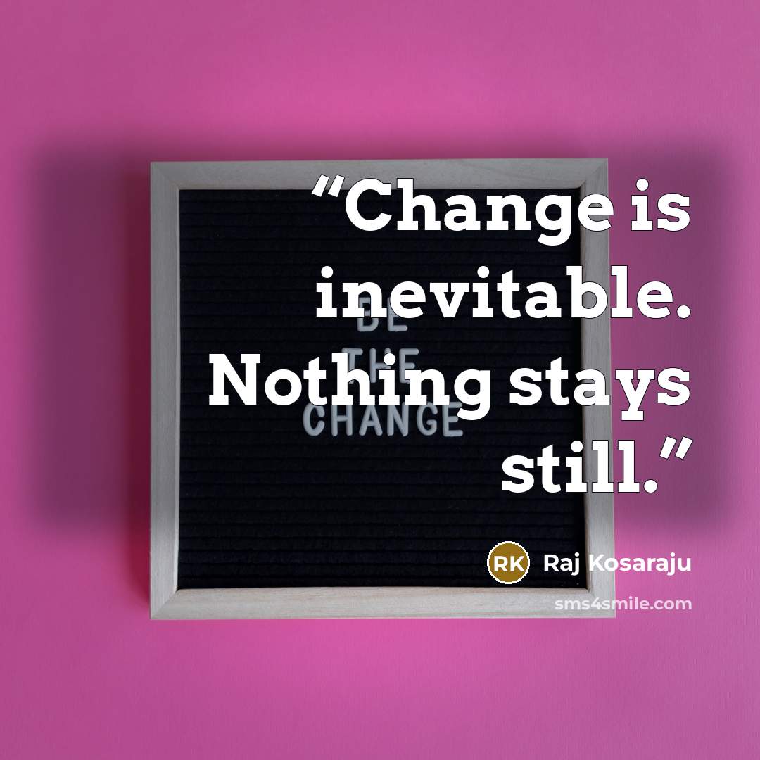 “Change is inevitable. Nothing stays still.” quote by Raj Kosaraju