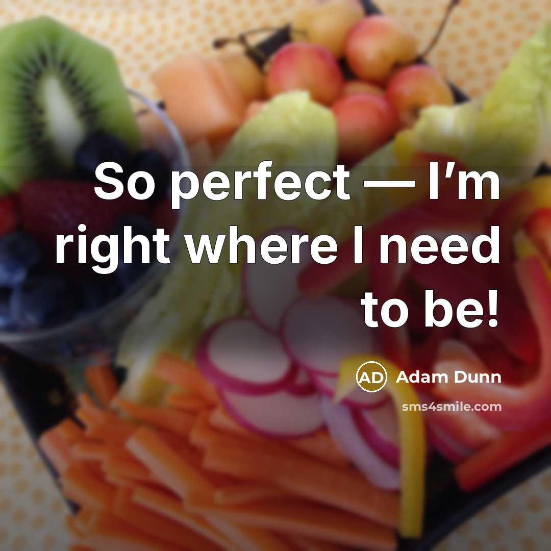 “So perfect — I’m right where I need to be!” quote by Adam Dunn